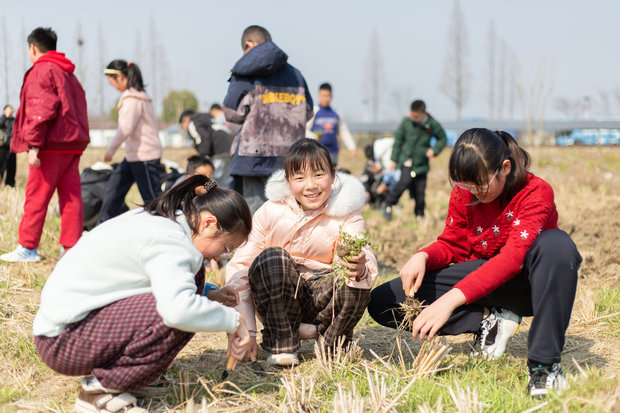 4趣味農(nóng)耕：挖野菜、放風(fēng)箏  (6)_副本.jpg